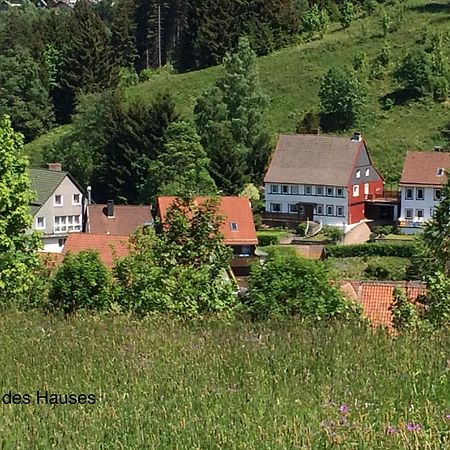 Apartament Am Muehlenberg Altenau  Zewnętrze zdjęcie
