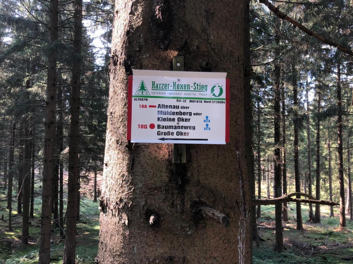 Apartament Am Muehlenberg Altenau  Zewnętrze zdjęcie
