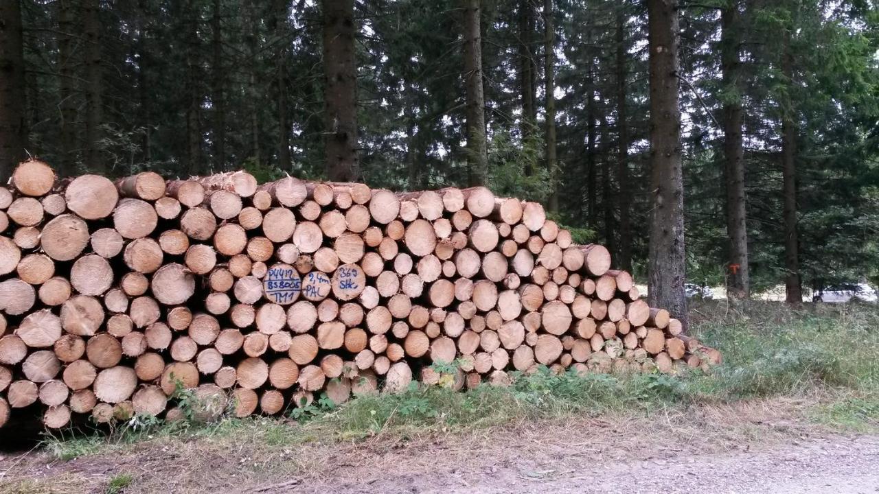 Apartament Am Muehlenberg Altenau  Zewnętrze zdjęcie
