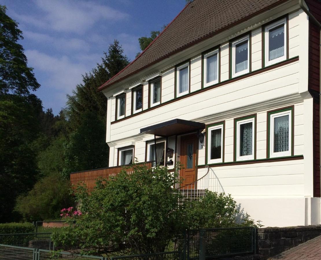 Apartament Am Muehlenberg Altenau  Zewnętrze zdjęcie