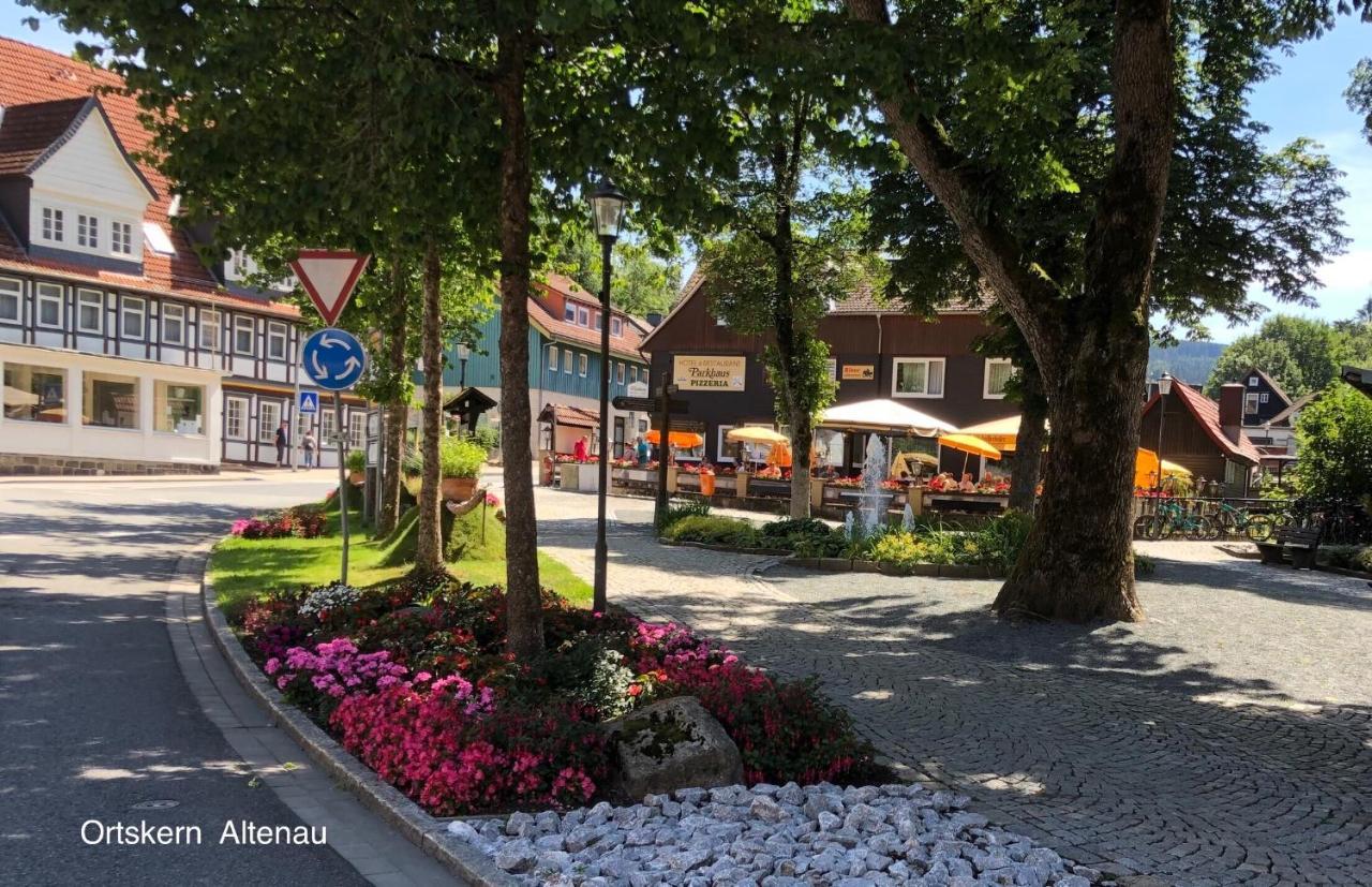 Apartament Am Muehlenberg Altenau  Zewnętrze zdjęcie