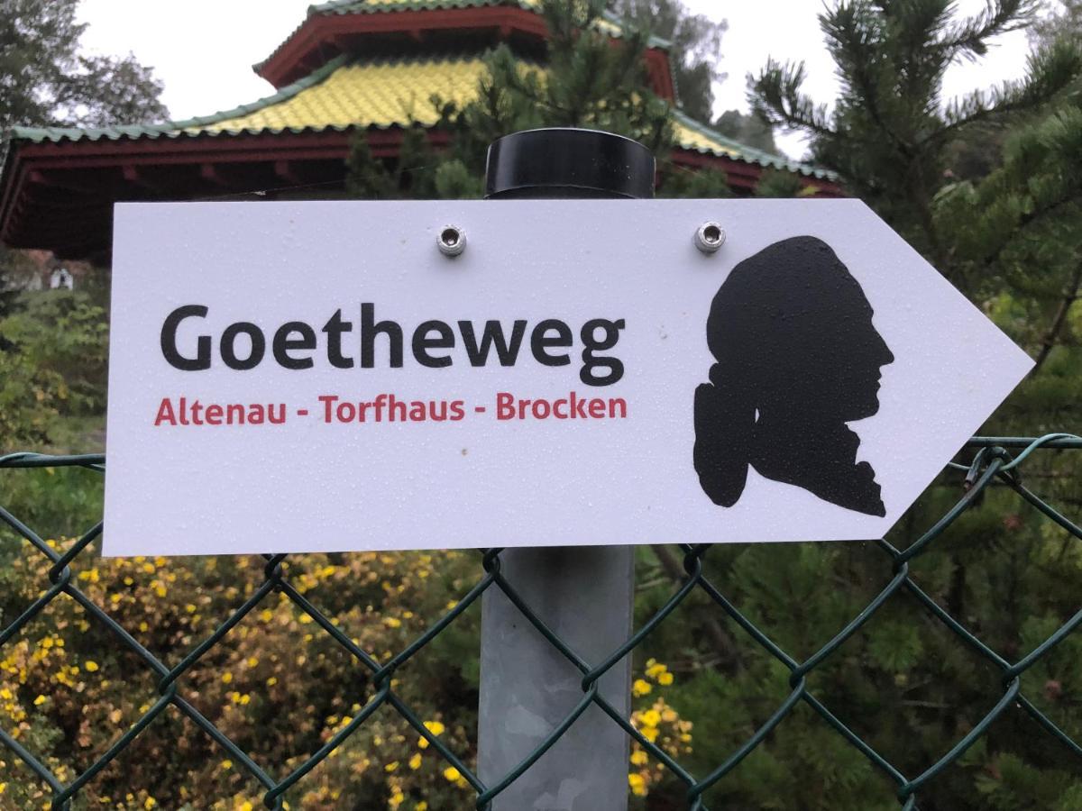 Apartament Am Muehlenberg Altenau  Zewnętrze zdjęcie