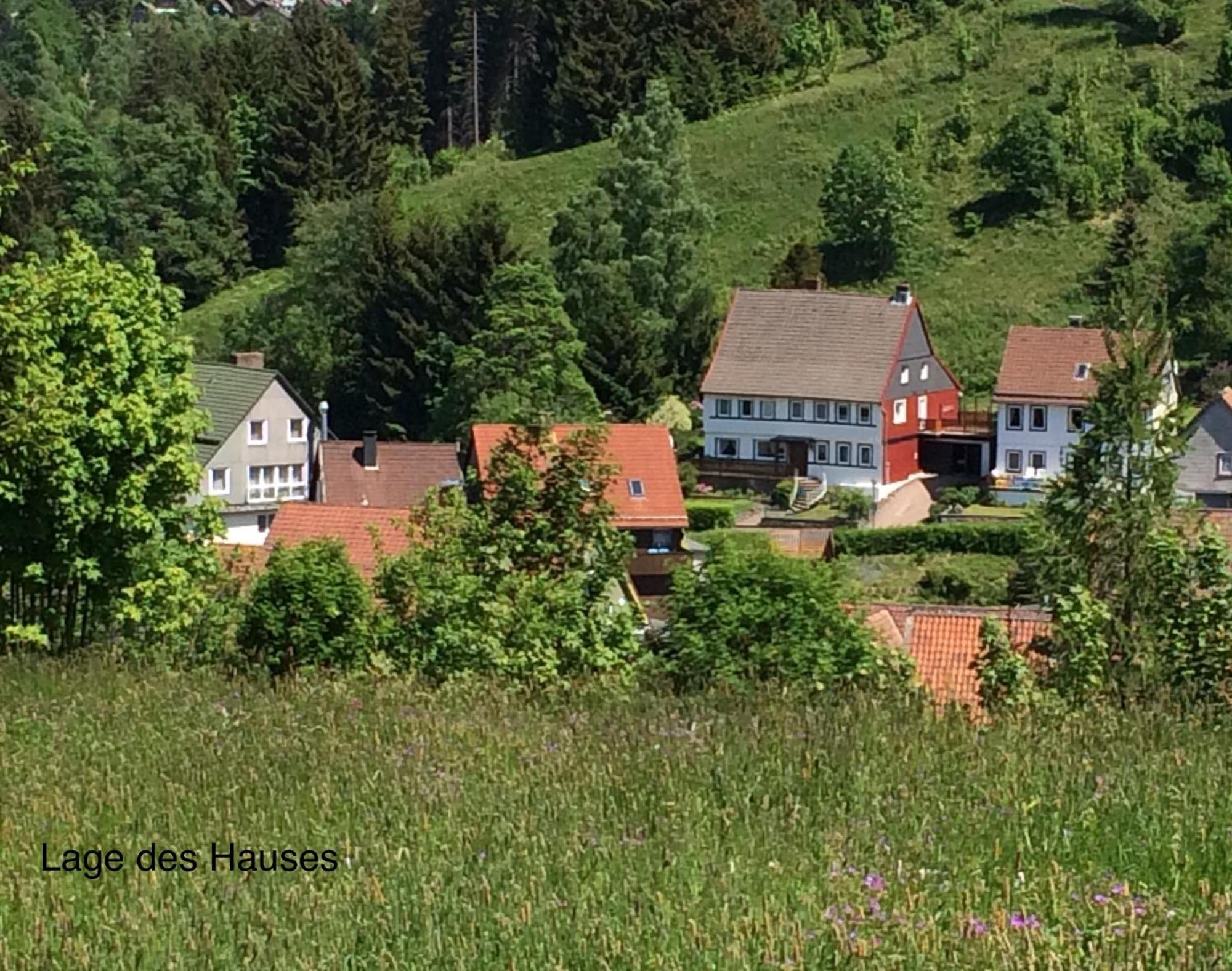 Apartament Am Muehlenberg Altenau  Zewnętrze zdjęcie