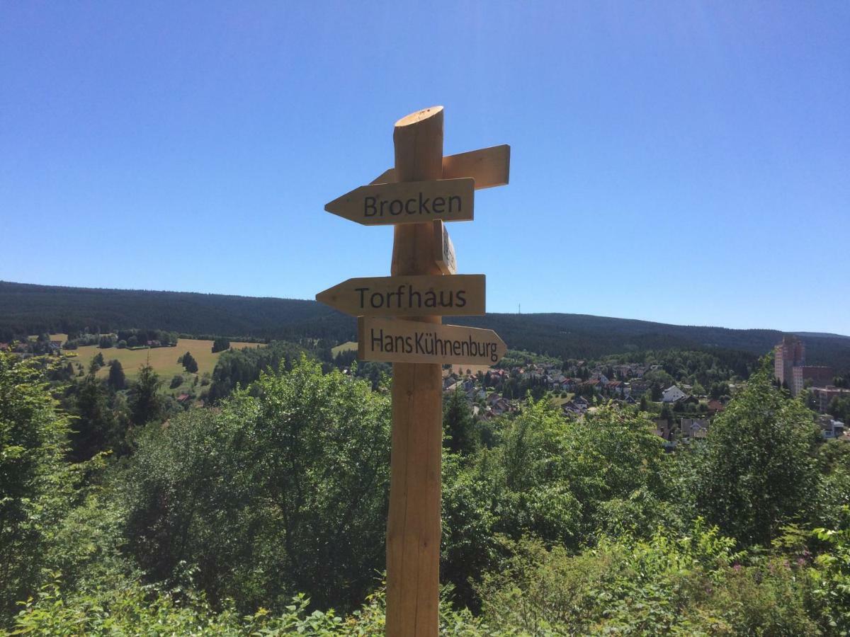 Apartament Am Muehlenberg Altenau  Zewnętrze zdjęcie